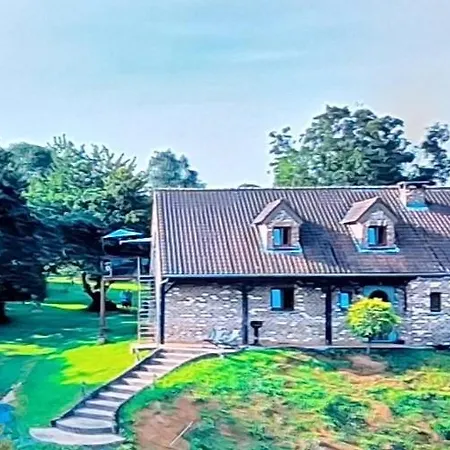 L'écureuil Wépion Namur